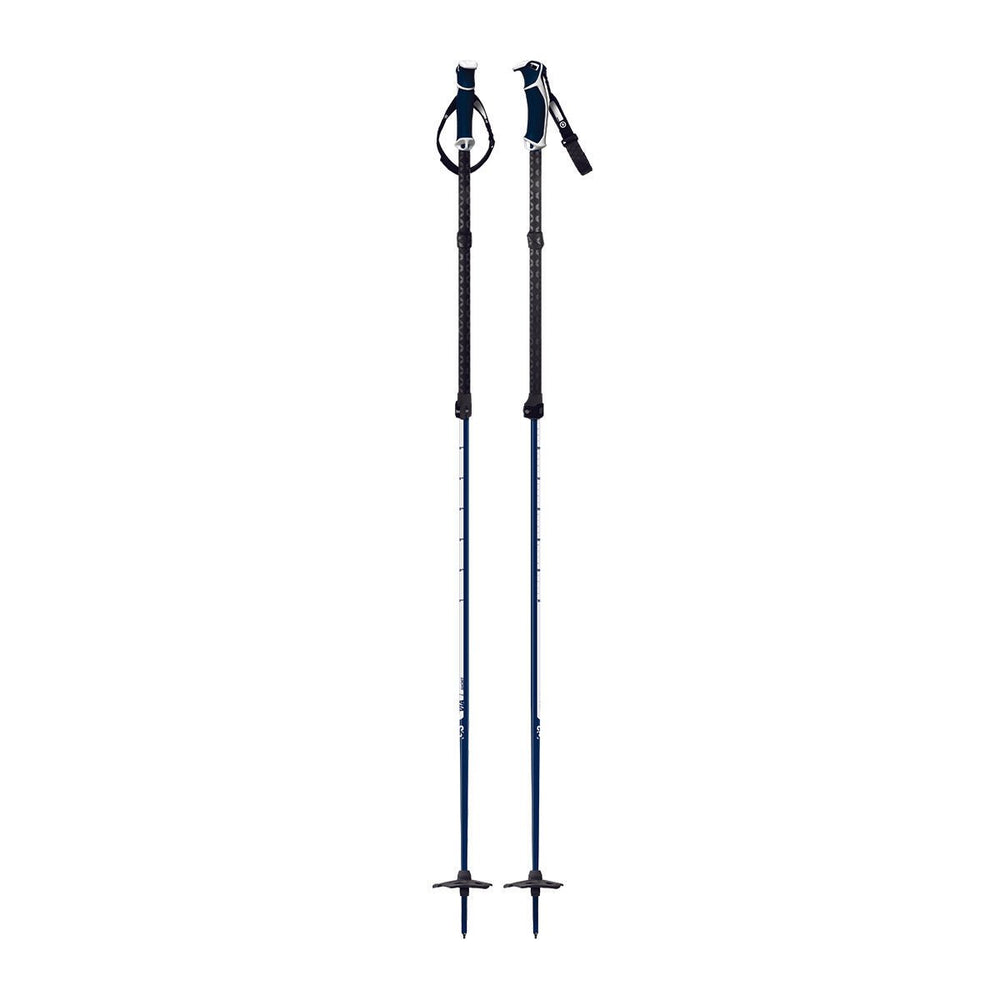G3 VIA Ski Poles